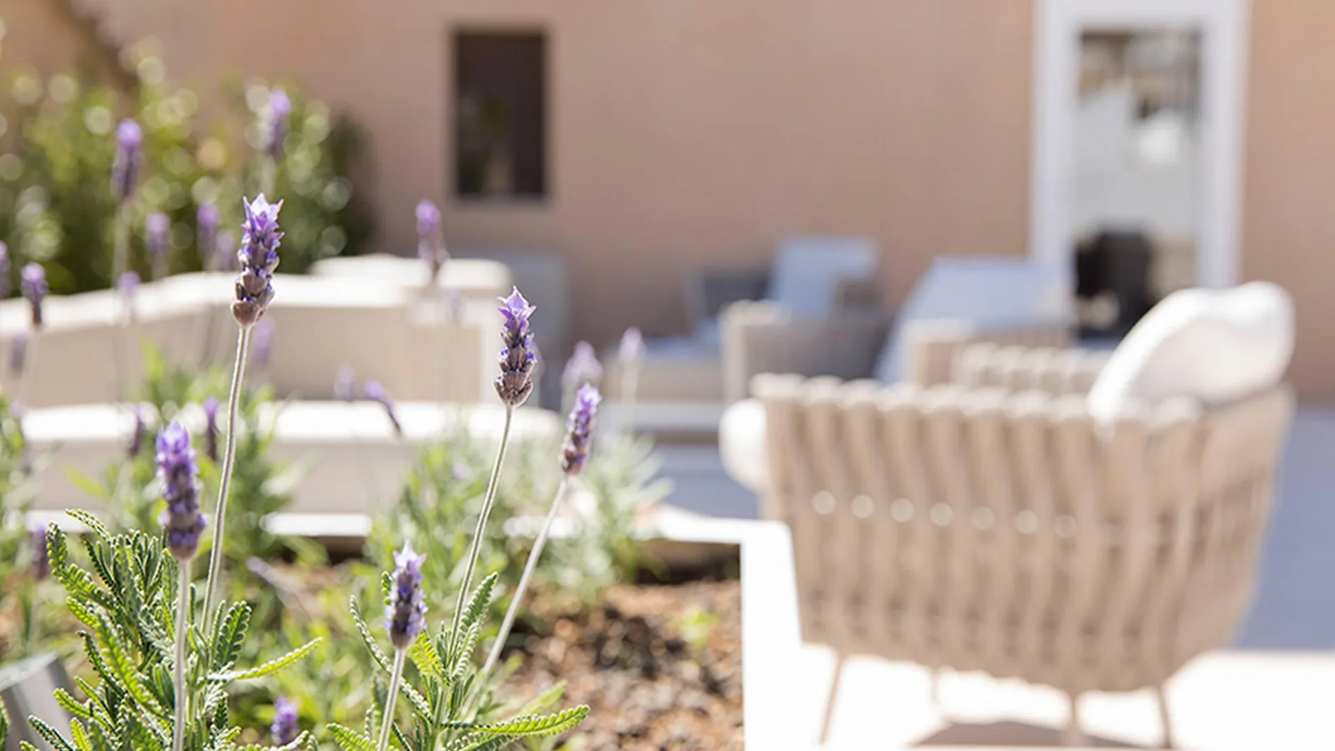 Convent De La Missio - Grand Luxury Boutique Hotel, Adults Only Palma de Mallorca Hotel